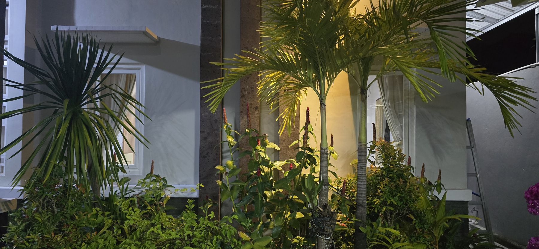 Front garden and terrace of Widi Homestay